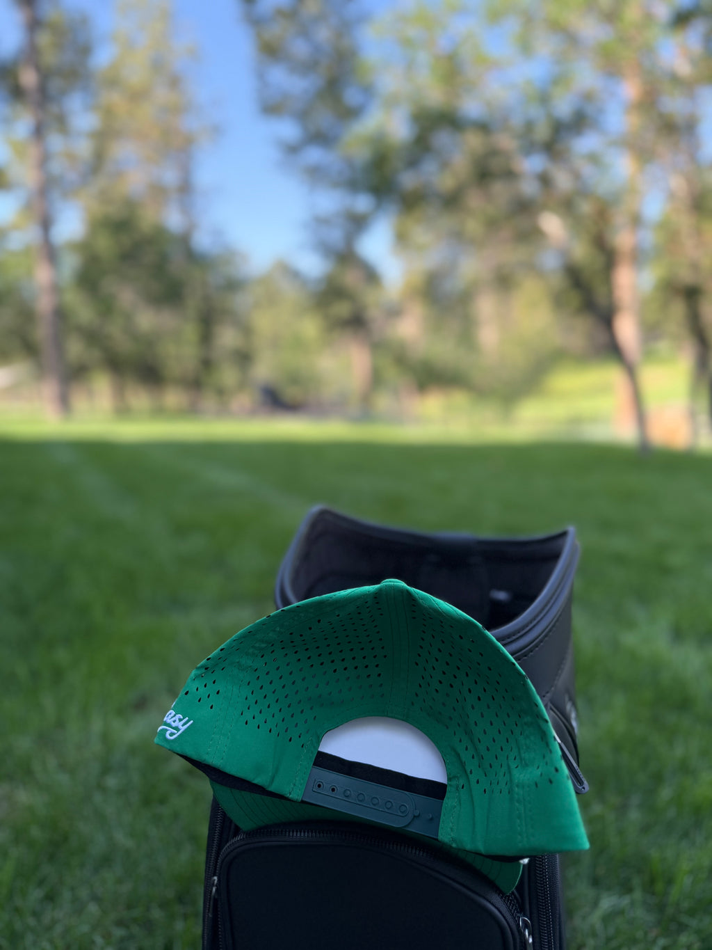 MSTRS Green AG Logo Hat